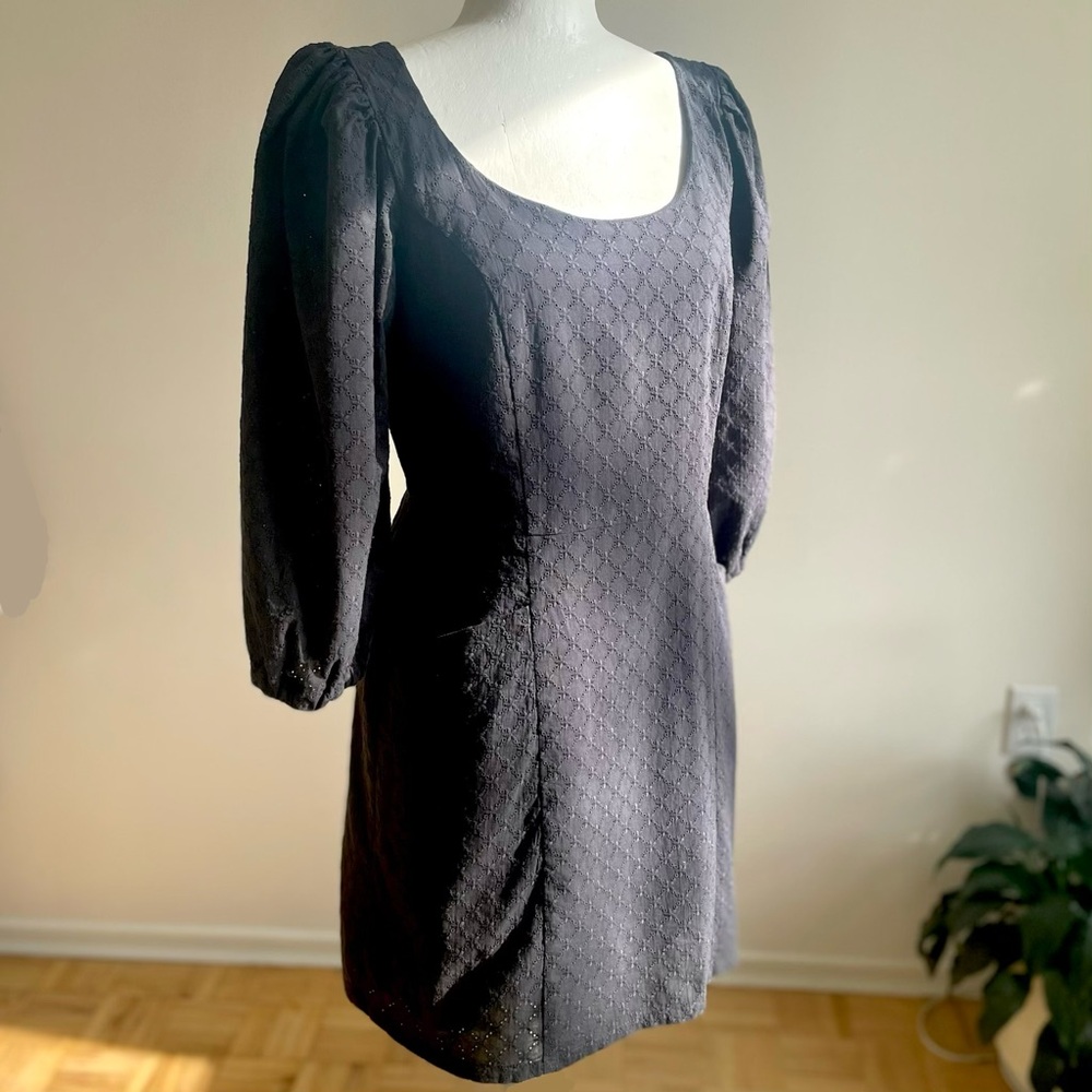 Birds of North America Bluebonnet Cotton Eyelet Dress, Black size 10